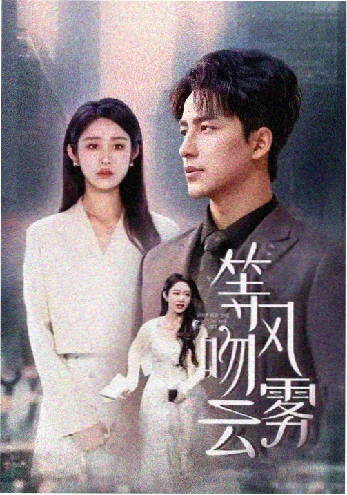 玫瑰的故事 女性爱情剧